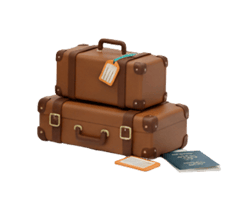 Malas de viagem